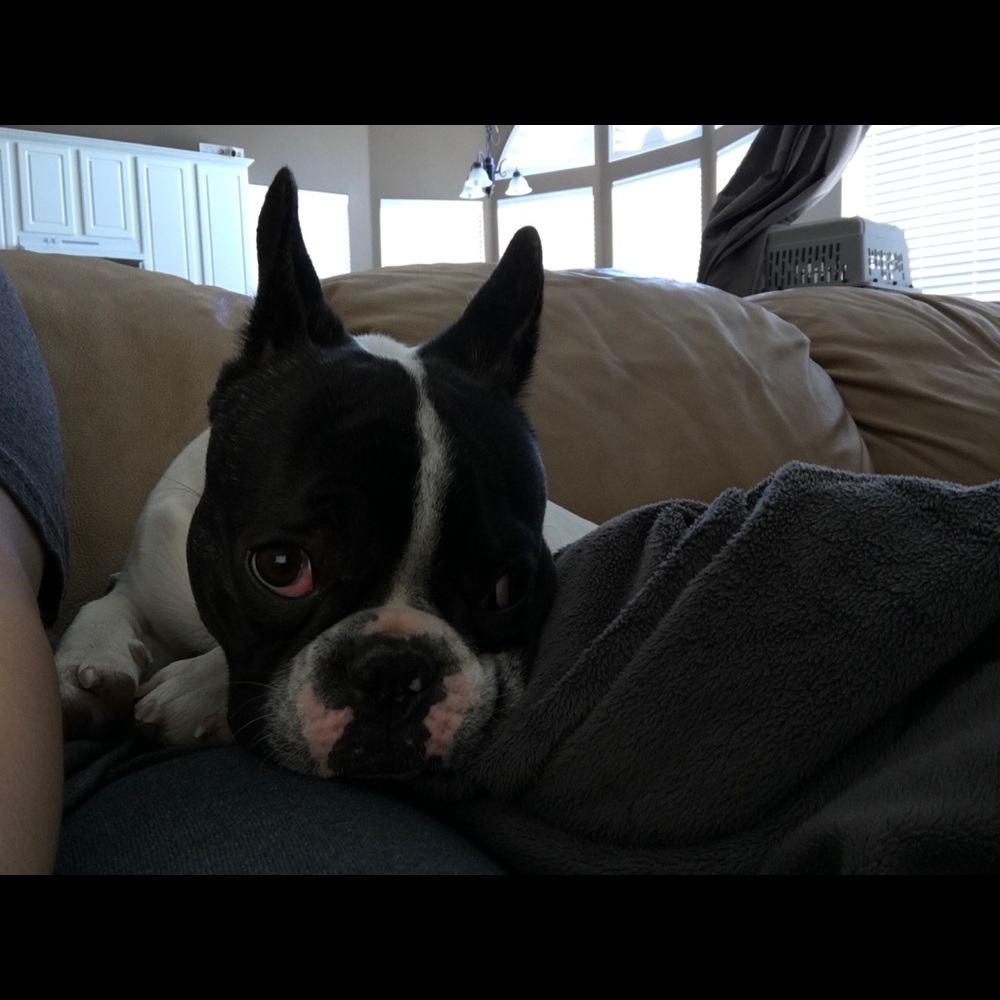 Meet your Posher, Denise